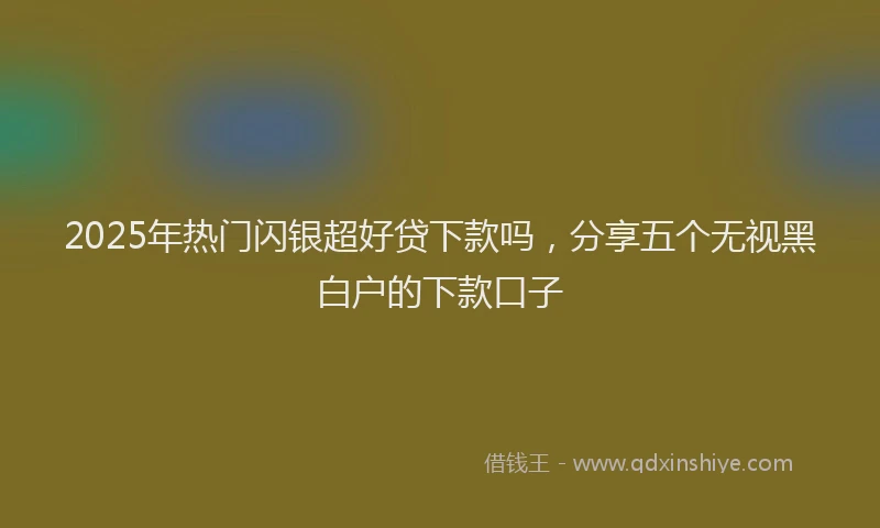 2025年热门闪银超好贷下款吗，分享五个无视黑白户的下款口子