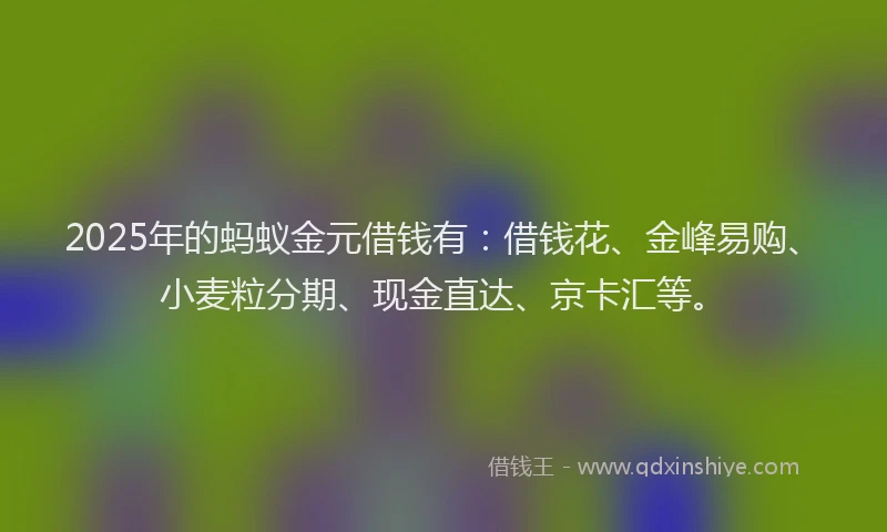 2025年的蚂蚁金元借钱有：借钱花、金峰易购、小麦粒分期、现金直达、京卡汇等。