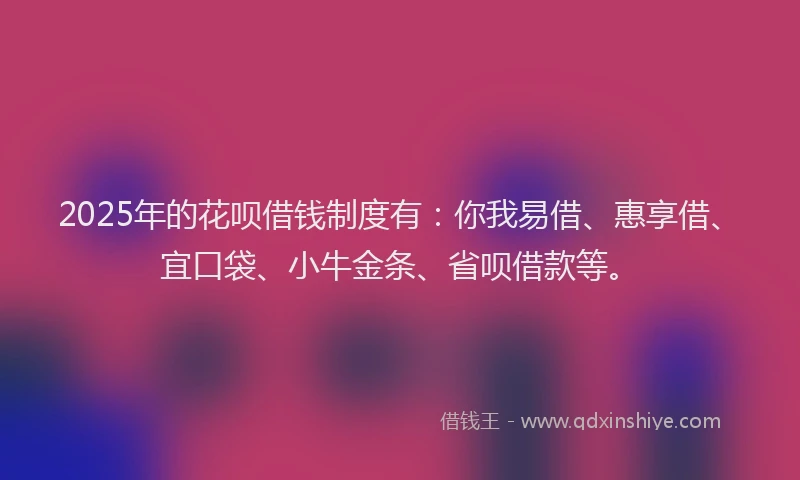 2025年的花呗借钱制度有：你我易借、惠享借、宜口袋、小牛金条、省呗借款等。