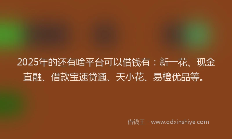 2025年的还有啥平台可以借钱有：新一花、现金直融、借款宝速贷通、天小花、易橙优品等。