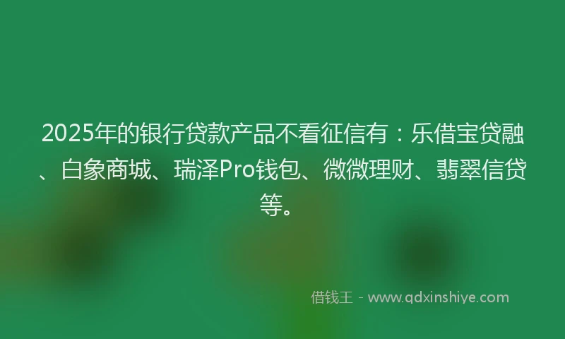 2025年的银行贷款产品不看征信有：乐借宝贷融、白象商城、瑞泽Pro钱包、微微理财、翡翠信贷等。