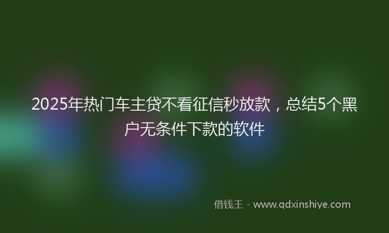 2025年热门车主贷不看征信秒放款,总结5个黑户无条件下款的软件