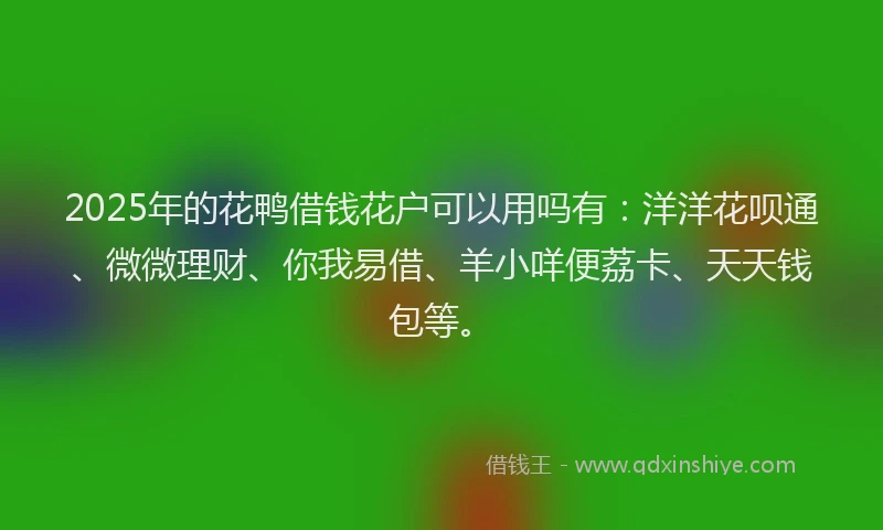 2025年的花鸭借钱花户可以用吗有：洋洋花呗通、微微理财、你我易借、羊小咩便荔卡、天天钱包等。