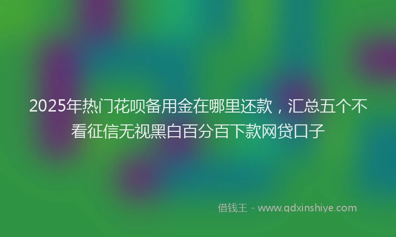 2025年热门花呗备用金在哪里还款，汇总五个不看征信无视黑白百分百下款网贷口子