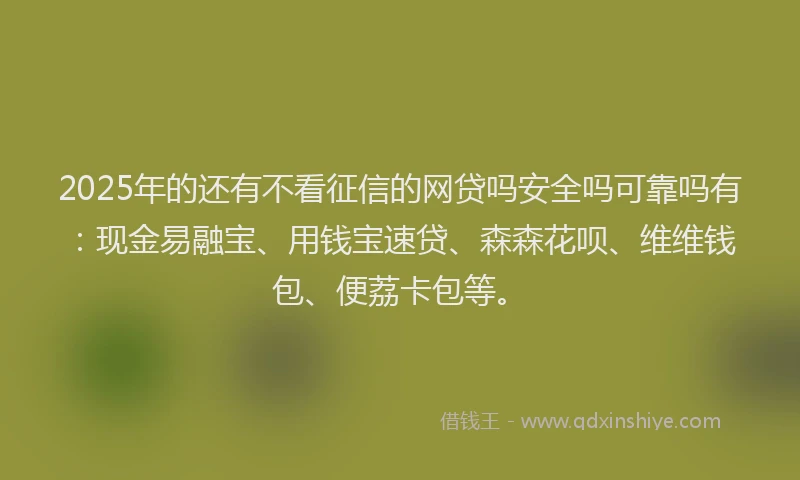 2025年的还有不看征信的网贷吗安全吗可靠吗有：现金易融宝、用钱宝速贷、森森花呗、维维钱包、便荔卡包等。