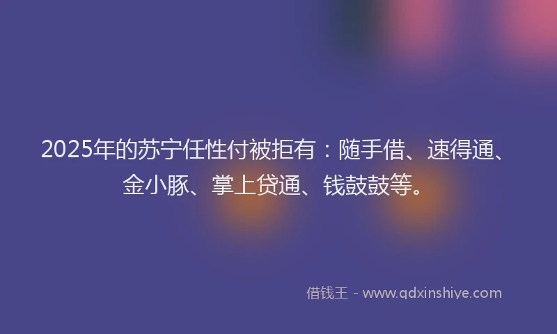 2025年的苏宁任性付被拒有：随手借、速得通、金小豚、掌上贷通、钱鼓鼓等。