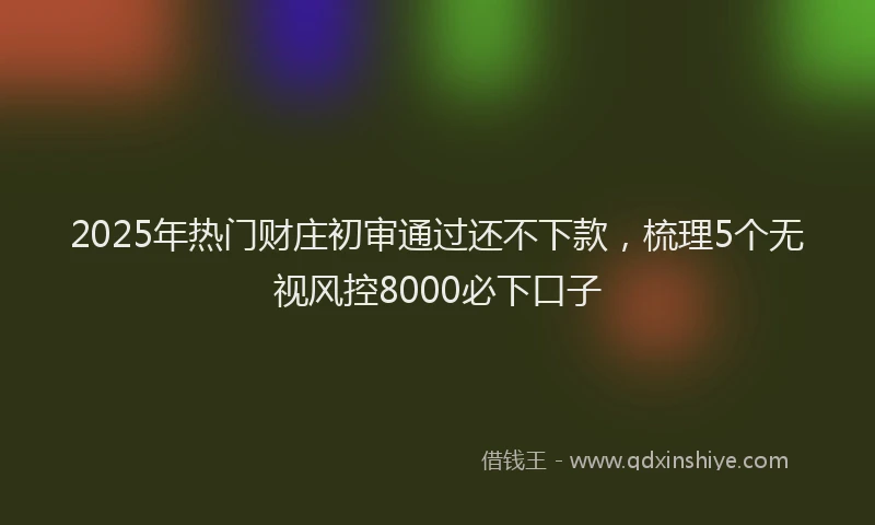 2025年热门财庄初审通过还不下款，梳理5个无视风控8000必下口子