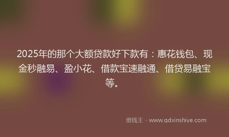 2025年的那个大额贷款好下款有:惠花钱包、现金秒融易、盈小花、借款宝速融通、借贷易融宝等。