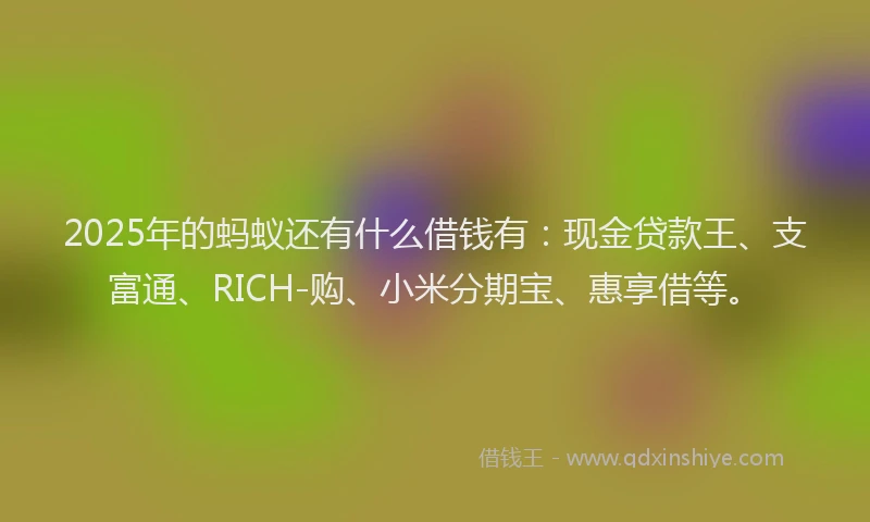 2025年的蚂蚁还有什么借钱有：现金贷款王、支富通、RICH-购、小米分期宝、惠享借等。