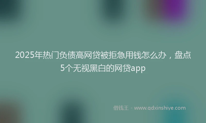2025年热门负债高网贷被拒急用钱怎么办，盘点5个无视黑白的网贷app