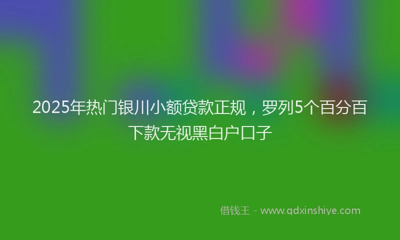 2025年热门银川小额贷款正规,罗列5个百分百下款无视黑白户口子