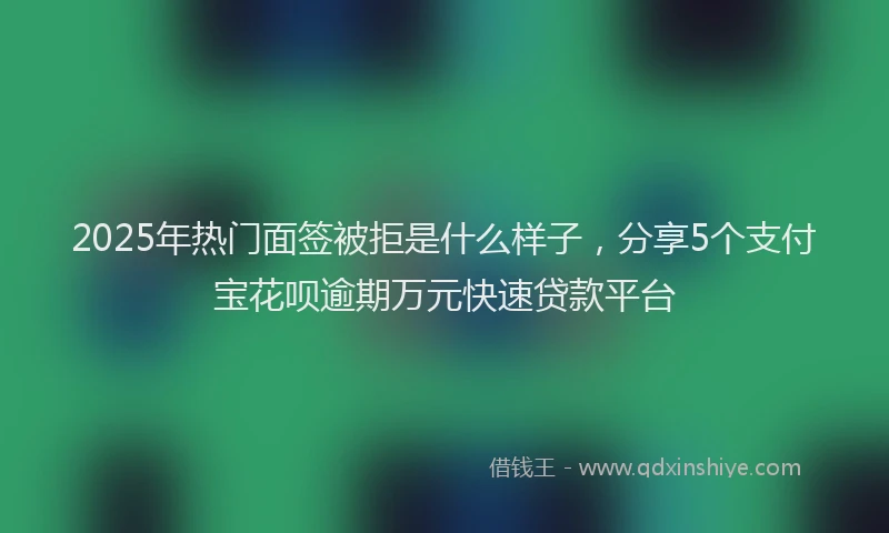 2025年热门面签被拒是什么样子,分享5个支付宝花呗逾期万元快速贷款平台