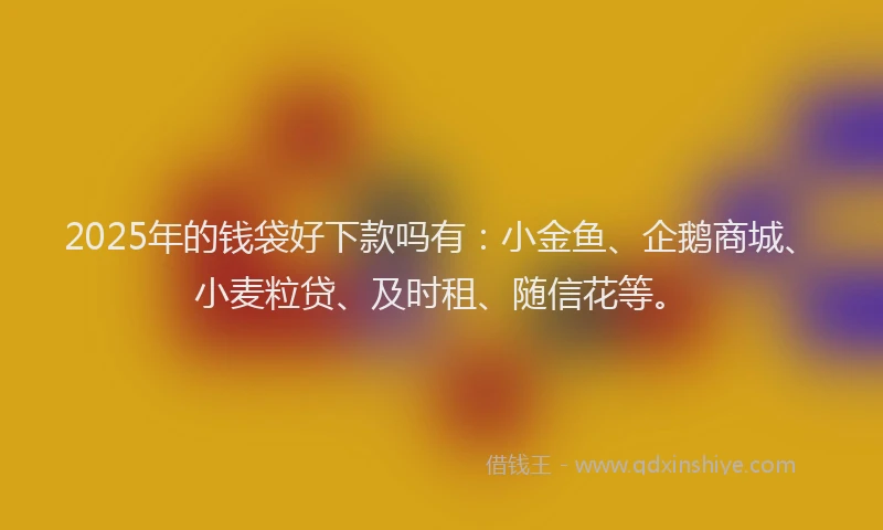 2025年的钱袋好下款吗有：小金鱼、企鹅商城、小麦粒贷、及时租、随信花等。