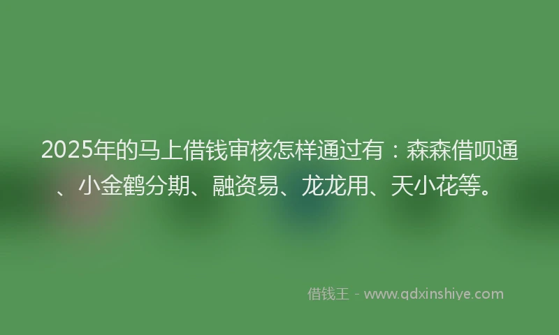 2025年的马上借钱审核怎样通过有：森森借呗通、小金鹤分期、融资易、龙龙用、天小花等。