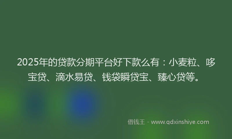 2025年的贷款分期平台好下款么有:小麦粒、哆宝贷、滴水易贷、钱袋瞬贷宝、臻心贷等。