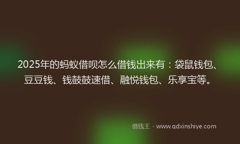 2025年的蚂蚁借呗怎么借钱出来有：袋鼠钱包、豆豆钱、钱鼓鼓速借、融悦钱包、乐享宝等。