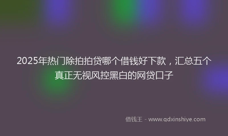 2025年热门除拍拍贷哪个借钱好下款，汇总五个真正无视风控黑白的网贷口子