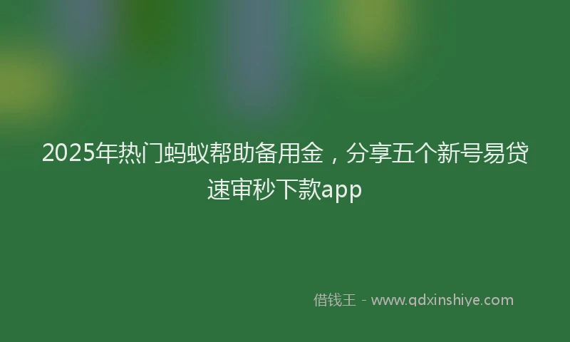 2025年热门蚂蚁帮助备用金，分享五个新号易贷速审秒下款app