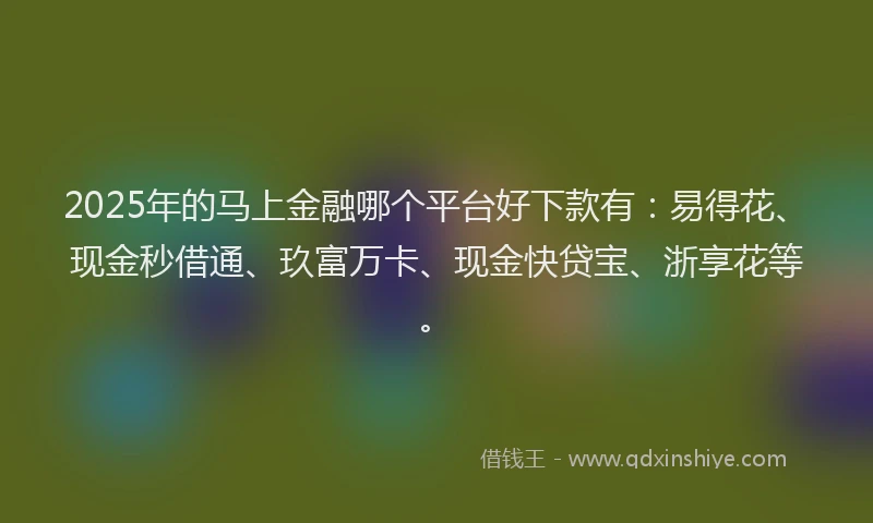 2025年的马上金融哪个平台好下款有：易得花、现金秒借通、玖富万卡、现金快贷宝、浙享花等。