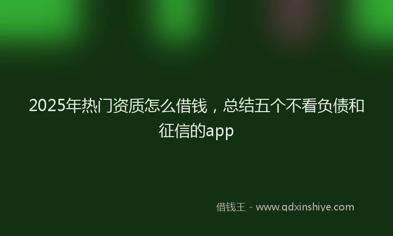 2025年热门资质怎么借钱，总结五个不看负债和征信的app