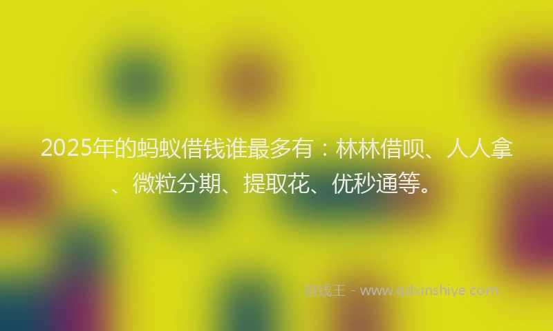 2025年的蚂蚁借钱谁最多有:林林借呗、人人拿、微粒分期、提取花、优秒通等。