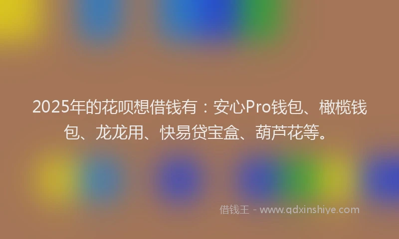 2025年的花呗想借钱有：安心Pro钱包、橄榄钱包、龙龙用、快易贷宝盒、葫芦花等。