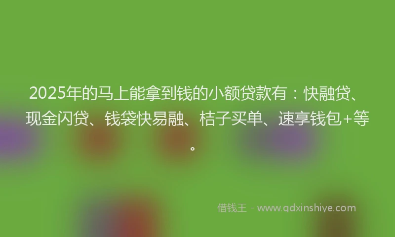 2025年的马上能拿到钱的小额贷款有：快融贷、现金闪贷、钱袋快易融、桔子买单、速享钱包+等。