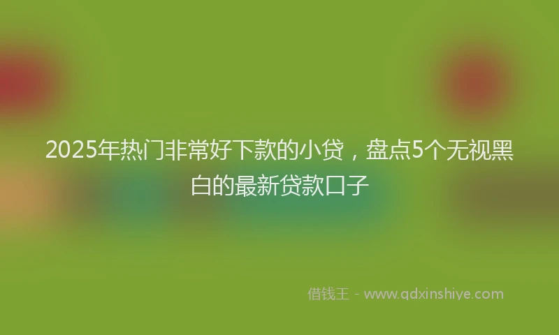 2025年热门非常好下款的小贷,盘点5个无视黑白的最新贷款口子