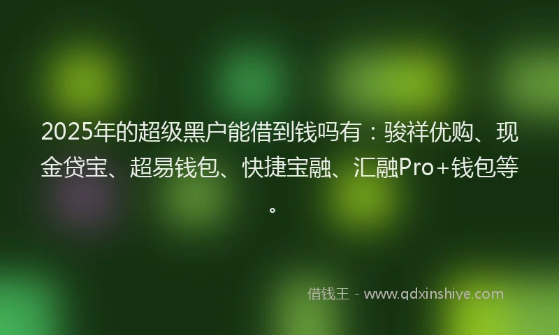 2025年的超级黑户能借到钱吗有：骏祥优购、现金贷宝、超易钱包、快捷宝融、汇融Pro+钱包等。