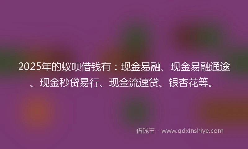 2025年的蚁呗借钱有：现金易融、现金易融通途、现金秒贷易行、现金流速贷、银杏花等。