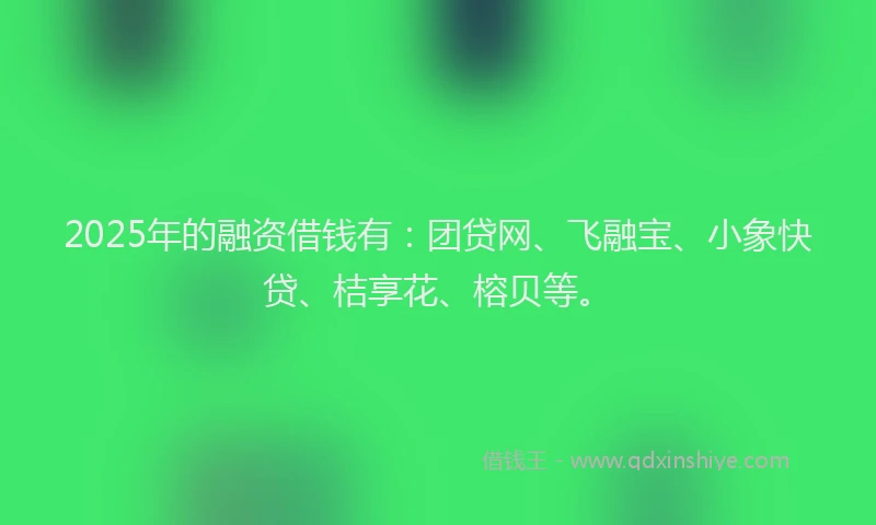 2025年的融资借钱有：团贷网、飞融宝、小象快贷、桔享花、榕贝等。