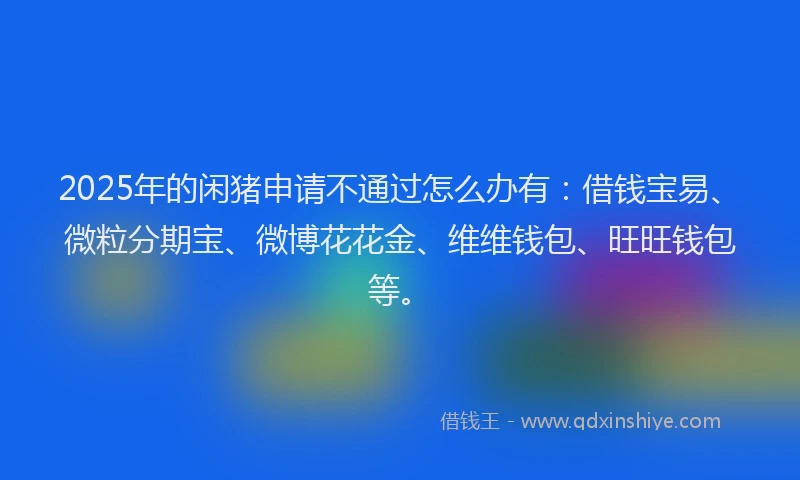 2025年的闲猪申请不通过怎么办有:借钱宝易、微粒分期宝、微博花花金、维维钱包、旺旺钱包等。