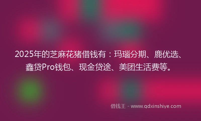 2025年的芝麻花猪借钱有：玛瑙分期、鹿优选、鑫贷Pro钱包、现金贷途、美团生活费等。