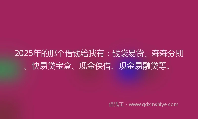 2025年的那个借钱给我有：钱袋易贷、森森分期、快易贷宝盒、现金侠借、现金易融贷等。