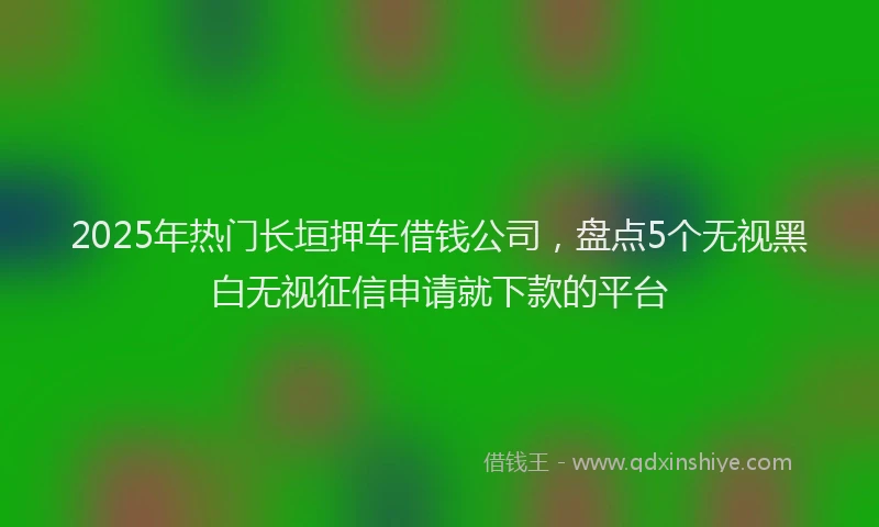 2025年热门长垣押车借钱公司，盘点5个无视黑白无视征信申请就下款的平台