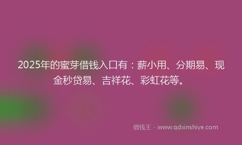 2025年的蜜芽借钱入口有：薪小用、分期易、现金秒贷易、吉祥花、彩虹花等。