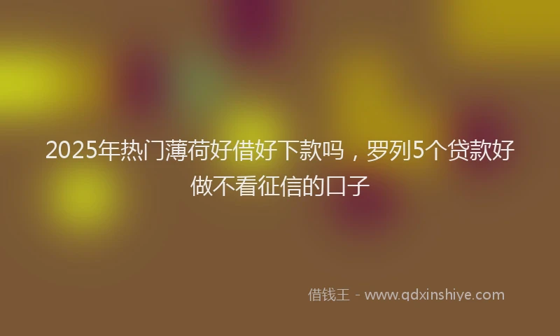 2025年热门薄荷好借好下款吗，罗列5个贷款好做不看征信的口子