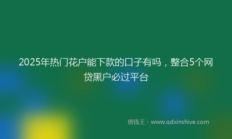 2025年热门花户能下款的口子有吗，整合5个网贷黑户必过平台
