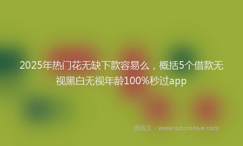 2025年热门花无缺下款容易么，概括5个借款无视黑白无视年龄100%秒过app