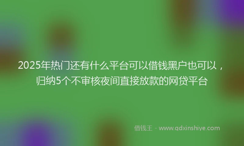 2025年热门还有什么平台可以借钱黑户也可以,归纳5个不审核夜间直接放款的网贷平台
