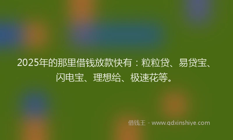 2025年的那里借钱放款快有:粒粒贷、易贷宝、闪电宝、理想给、极速花等。