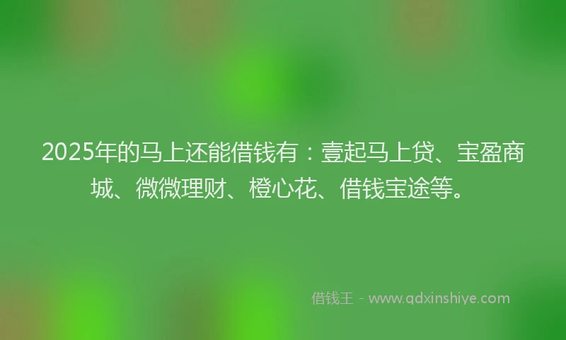 2025年的马上还能借钱有：壹起马上贷、宝盈商城、微微理财、橙心花、借钱宝途等。