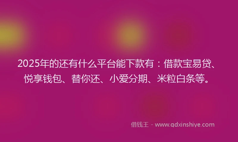 2025年的还有什么平台能下款有：借款宝易贷、悦享钱包、替你还、小爱分期、米粒白条等。