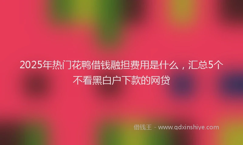 2025年热门花鸭借钱融担费用是什么，汇总5个不看黑白户下款的网贷