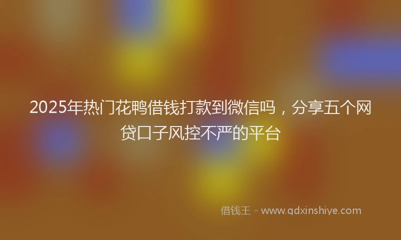2025年热门花鸭借钱打款到微信吗，分享五个网贷口子风控不严的平台
