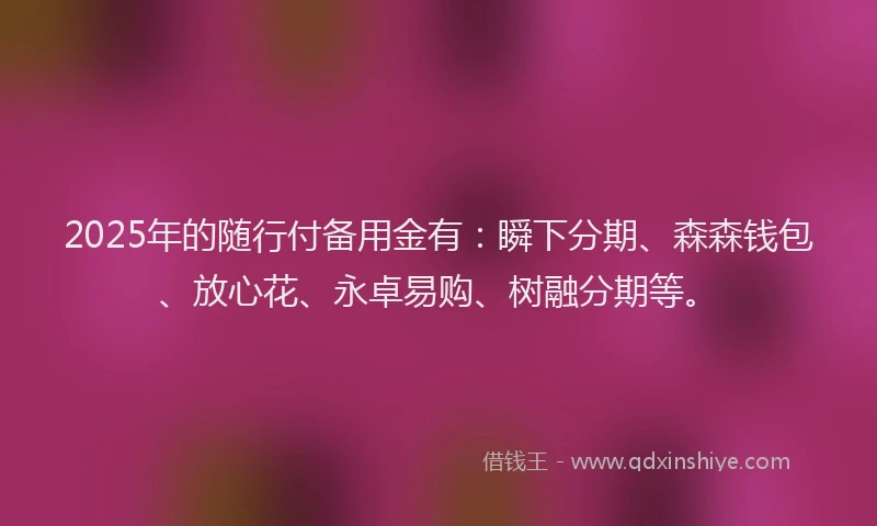 2025年的随行付备用金有:瞬下分期、森森钱包、放心花、永卓易购、树融分期等。