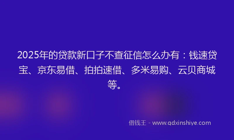 2025年的贷款新口子不查征信怎么办有:钱速贷宝、京东易借、拍拍速借、多米易购、云贝商城等。