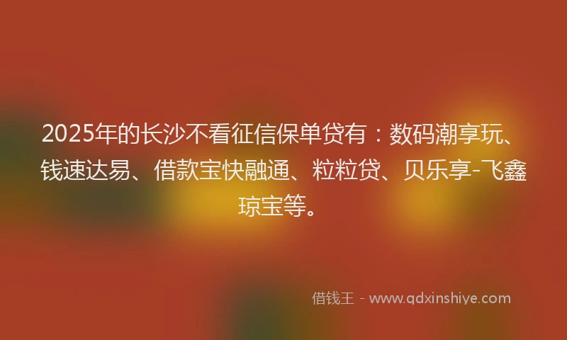 2025年的长沙不看征信保单贷有：数码潮享玩、钱速达易、借款宝快融通、粒粒贷、贝乐享-飞鑫琼宝等。