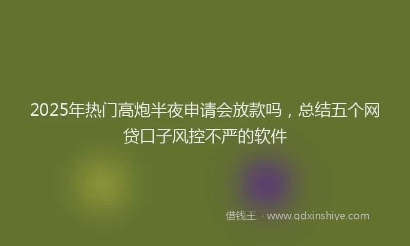 2025年热门高炮半夜申请会放款吗，总结五个网贷口子风控不严的软件