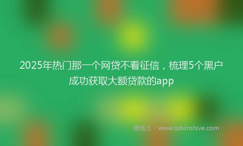 2025年热门那一个网贷不看征信，梳理5个黑户成功获取大额贷款的app